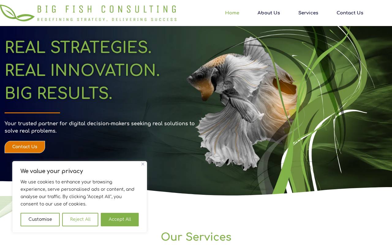 Big Fish Consulting website