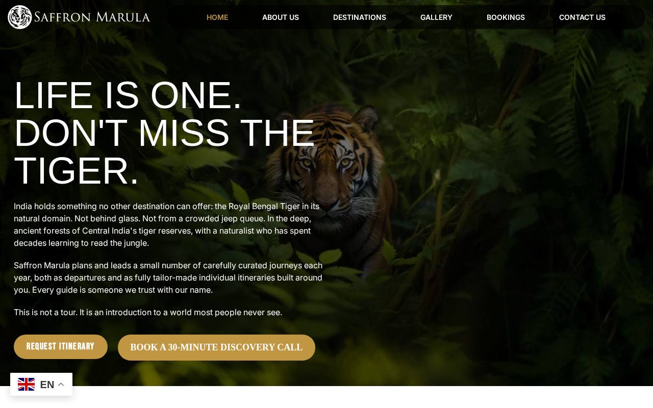 Saffron Marula website built by Websummit